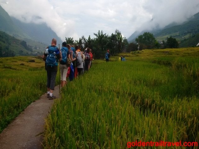 15 Days Halong Bay Kayaking Tour To Climb Fansipan Peak and Visit Ban Ho Village